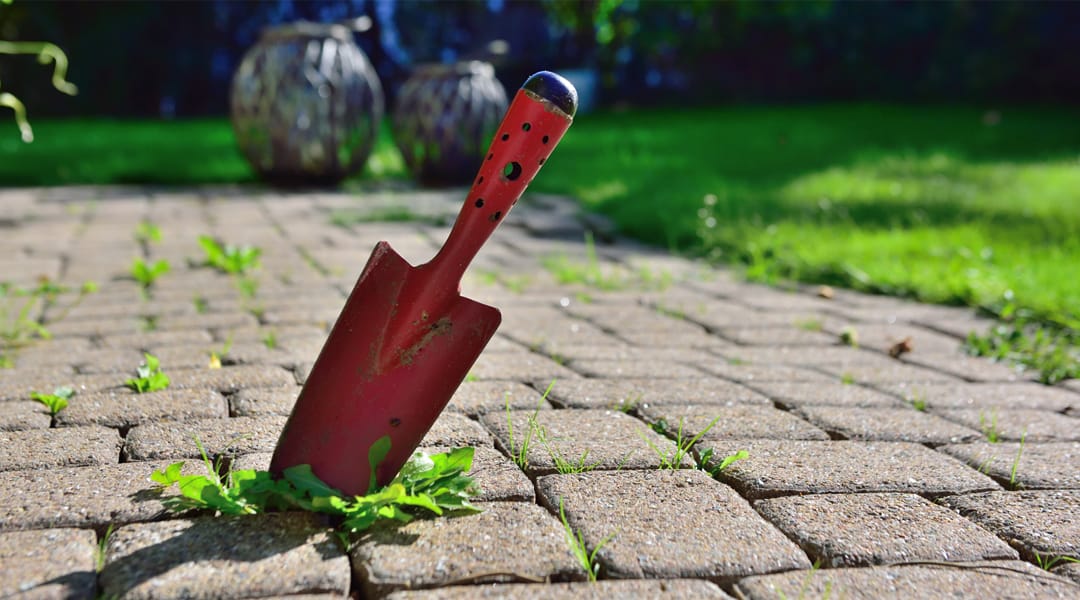 Annual Spring Grounds Cleanup