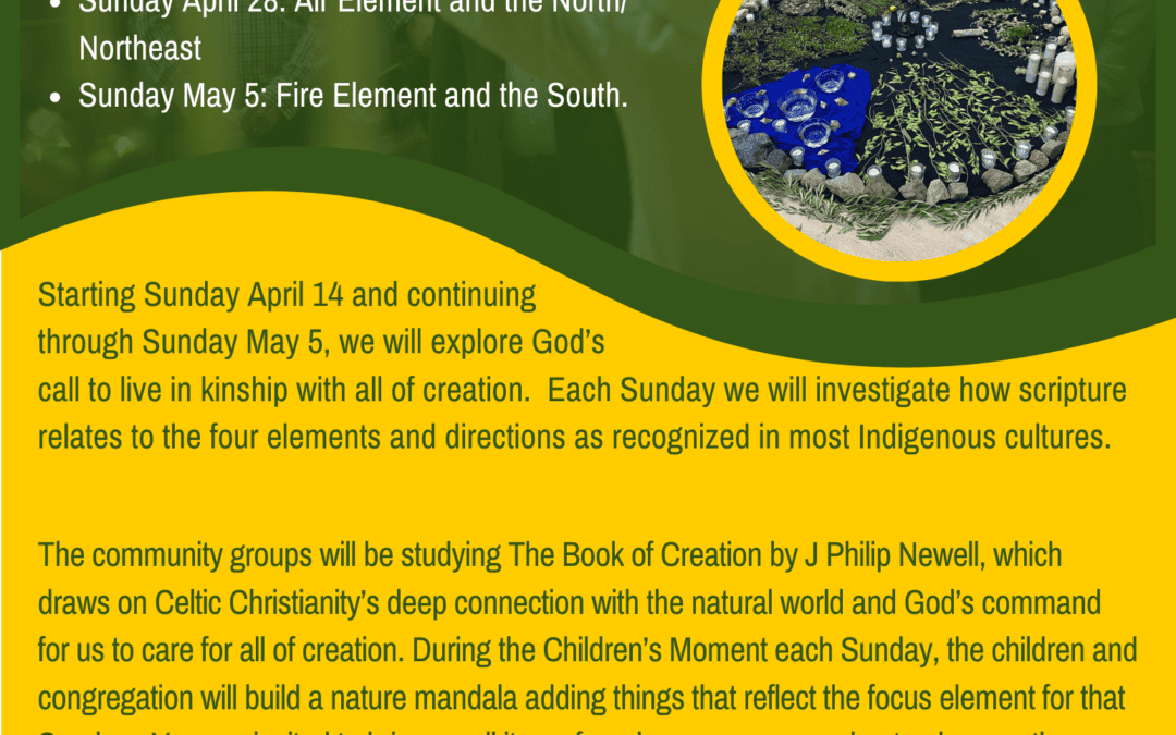 Pastor Diane presents a Sunday School Series on God’s Creation